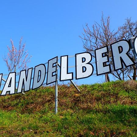 Hotel Le Mandelberg Mittelwihr Esterno foto
