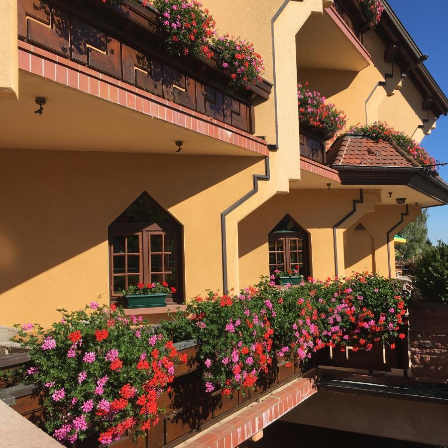 Hotel Le Mandelberg Mittelwihr Esterno foto
